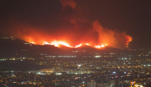 Wildfire and Earthquake Preparedness